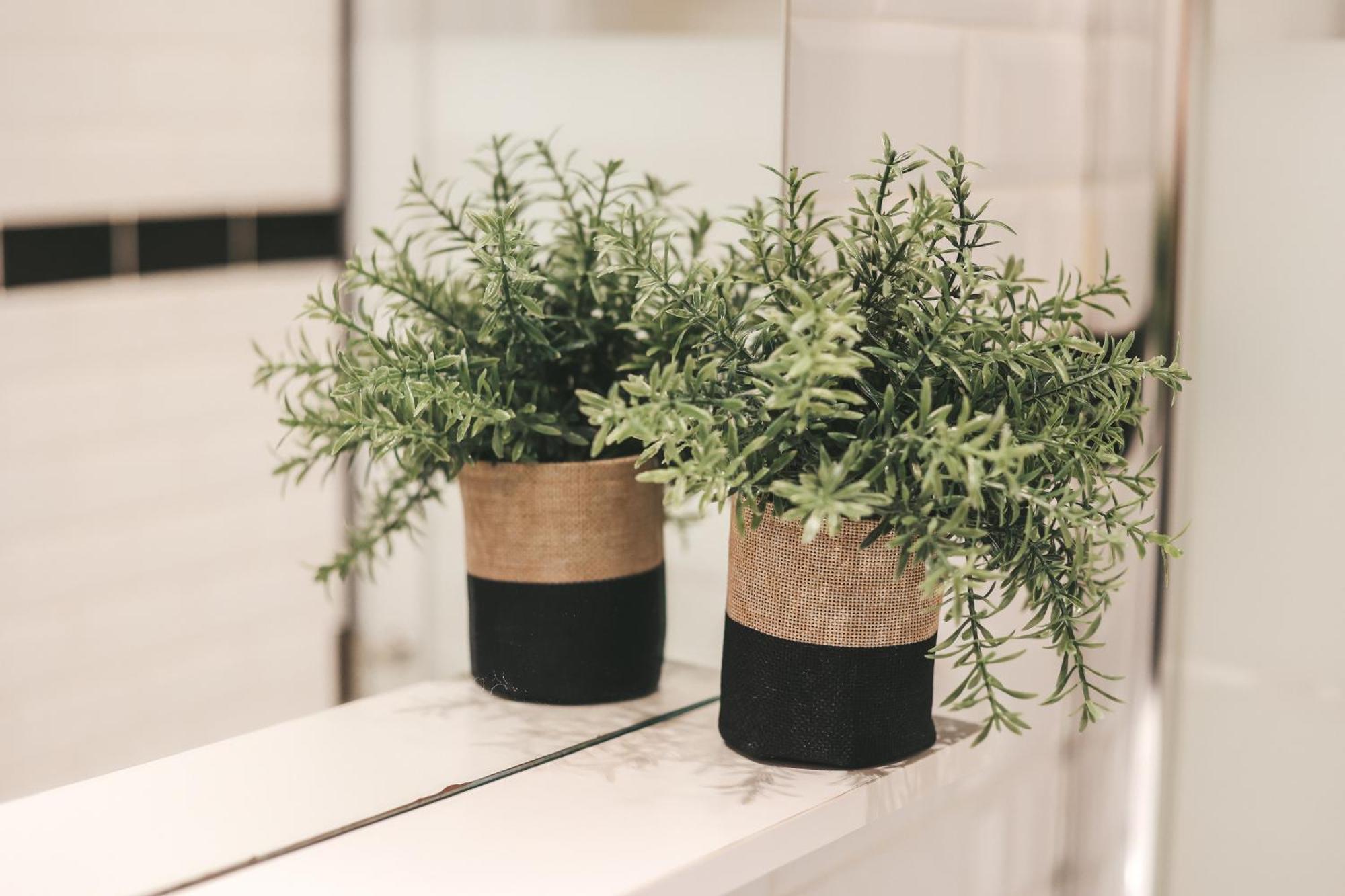 Suit'home Commerce Apartamento